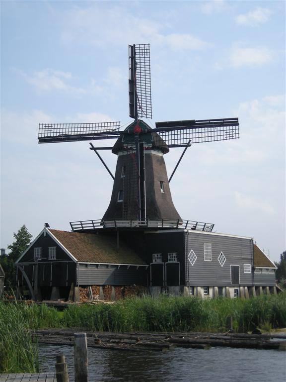 De Rat