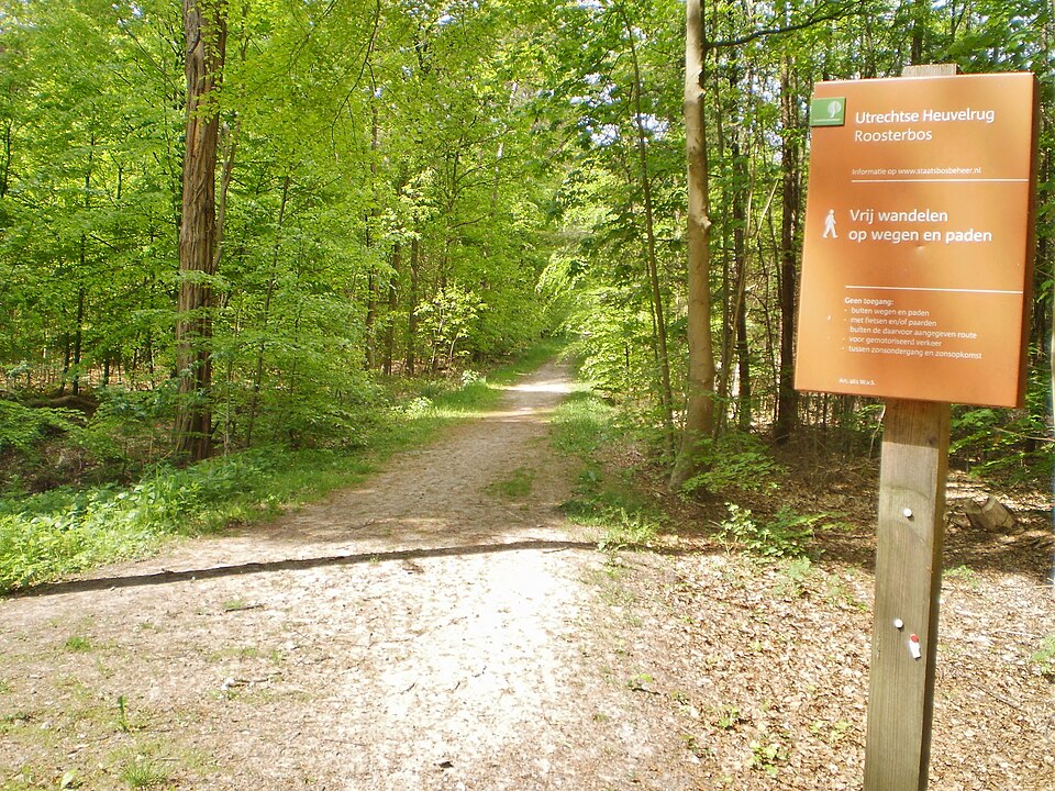 Roosterbos