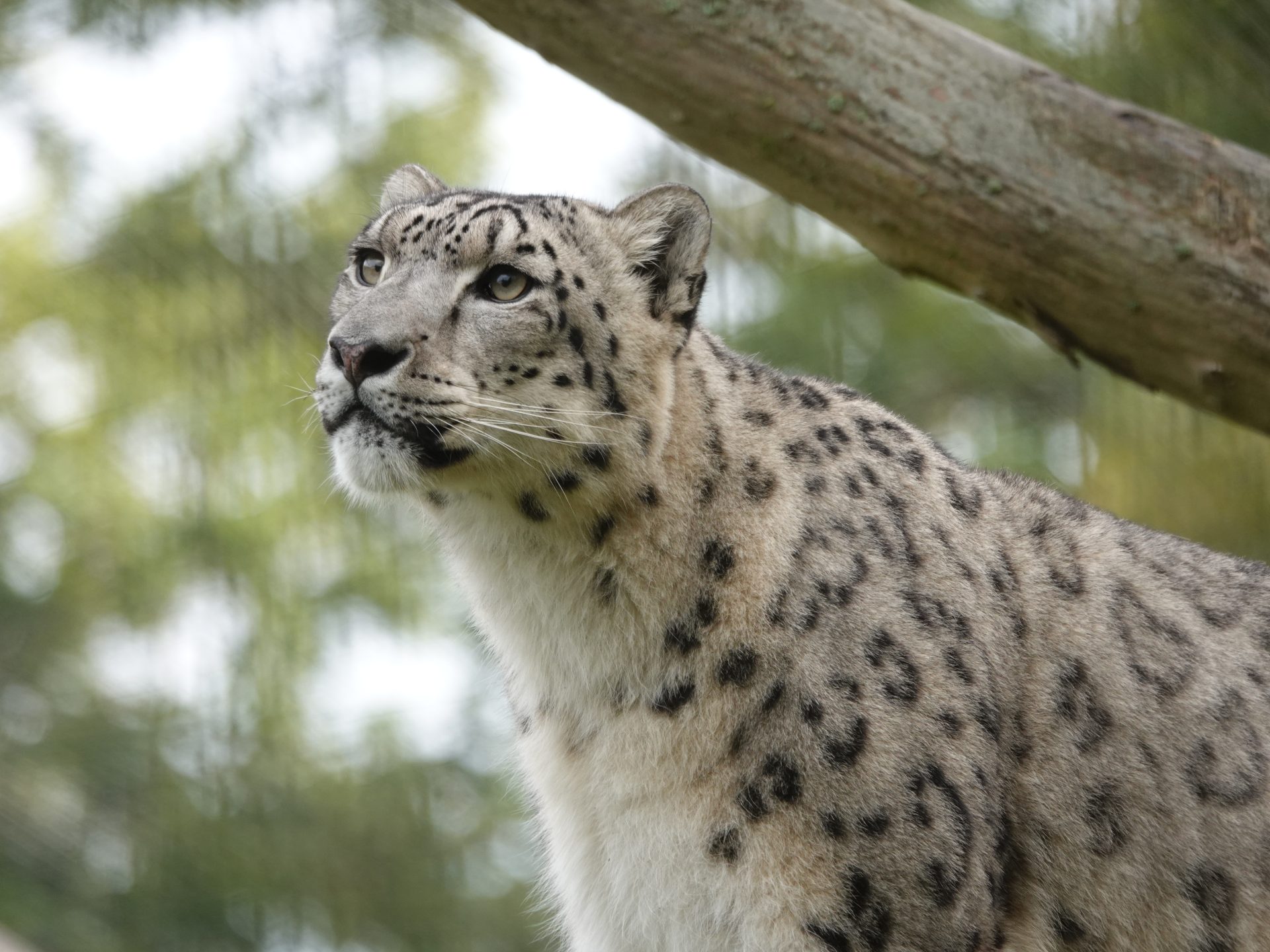 Dierenpark Hoenderdaell