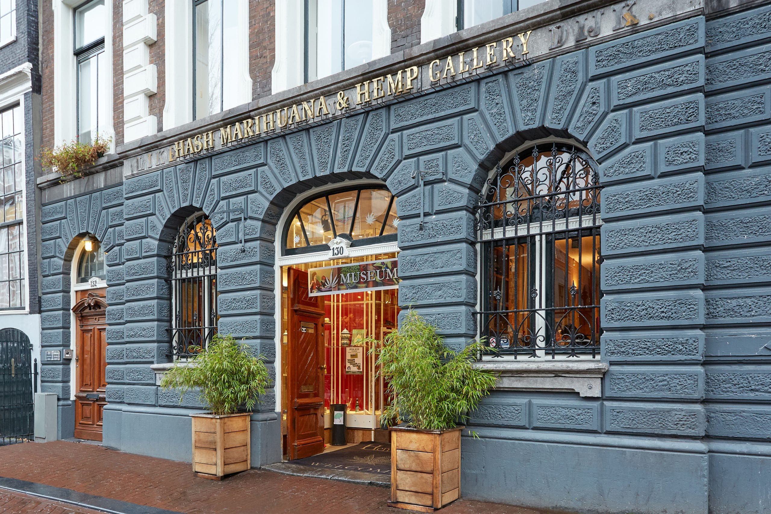 Hemp Gallery