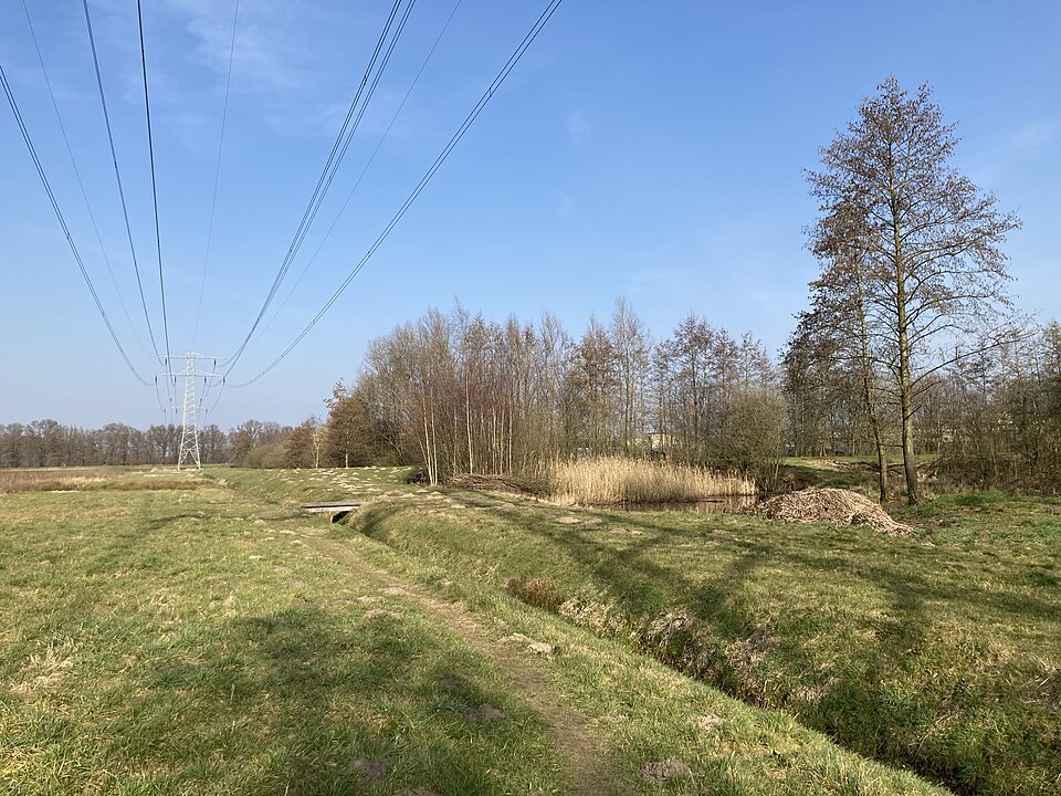 Melksteeg
