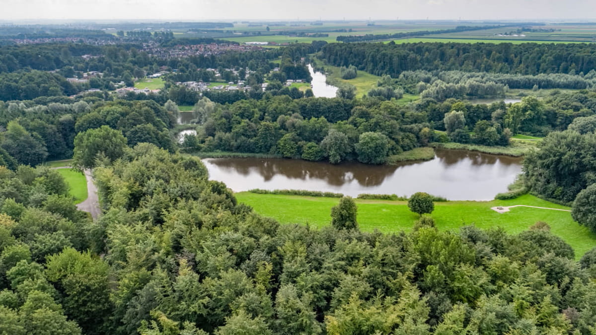 Wisentbos