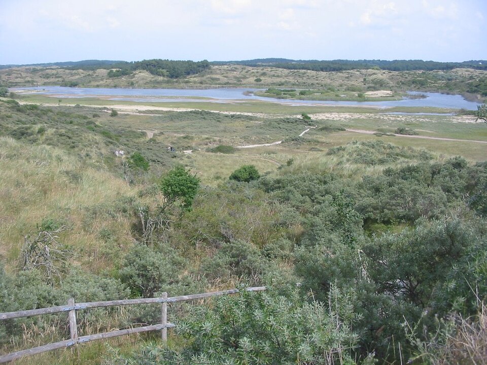 De Kennemerduinen